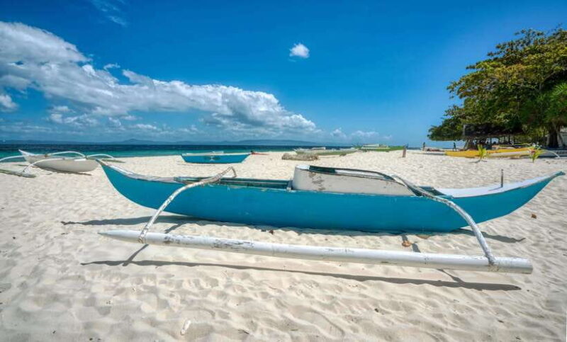 Bohol PAMILACAN Island Turtle & Dolphin Watching - FAQ