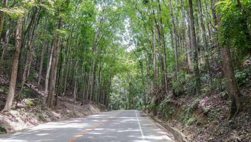 Bohol: Private Countryside Tour with Buffet Lunch - Good To Know  