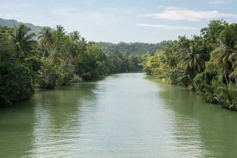 Bohol: Private Countryside Tour with Buffet Lunch - Frequently Asked Questions  