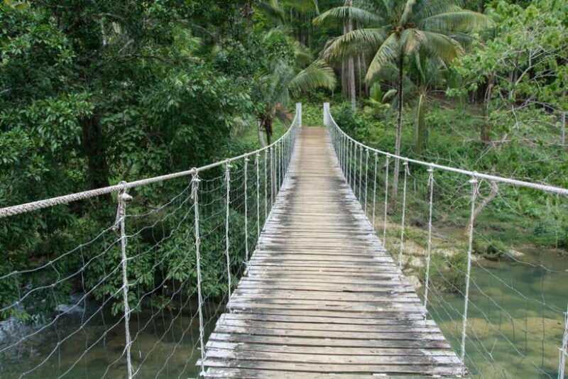 Bohol: Private Countryside Tour with Buffet Lunch - Who is This Tour Best For?