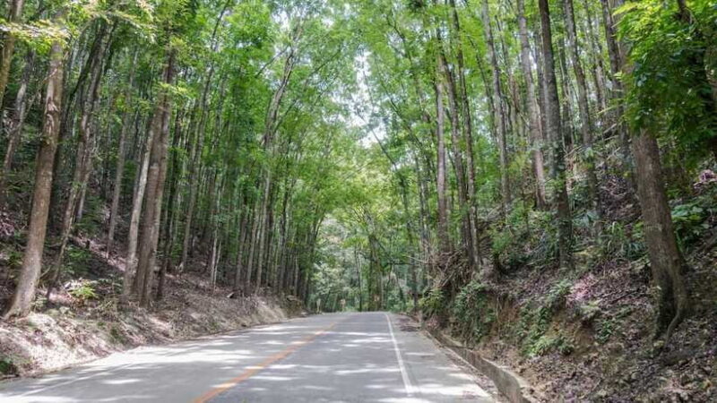 Bohol: Private Countryside Tour with Buffet Lunch - FAQ