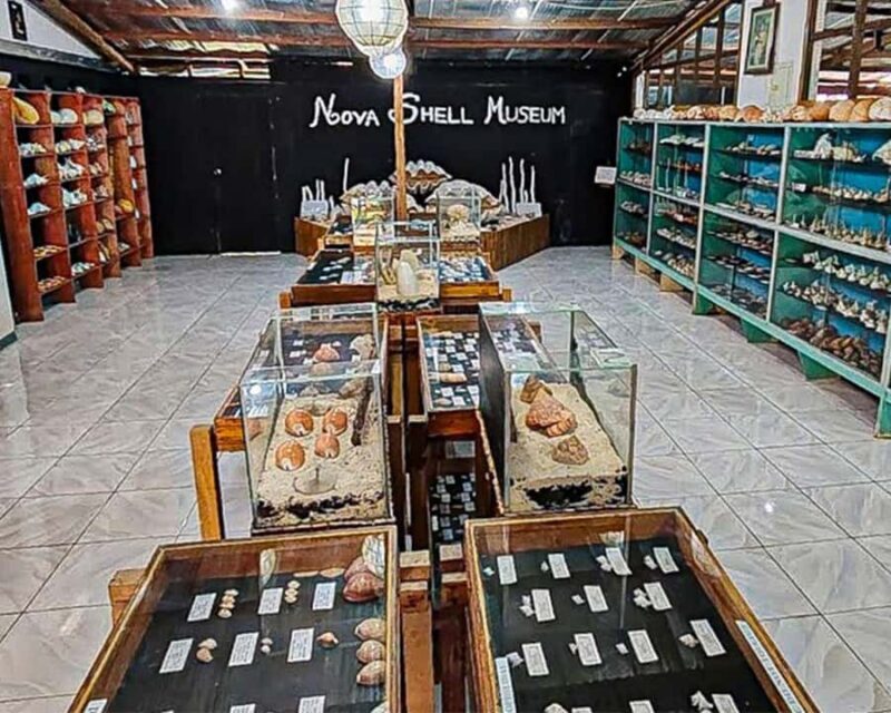 Bohol: PRIVATE Panglao Land Tour - Why This Tour Offers Great Value