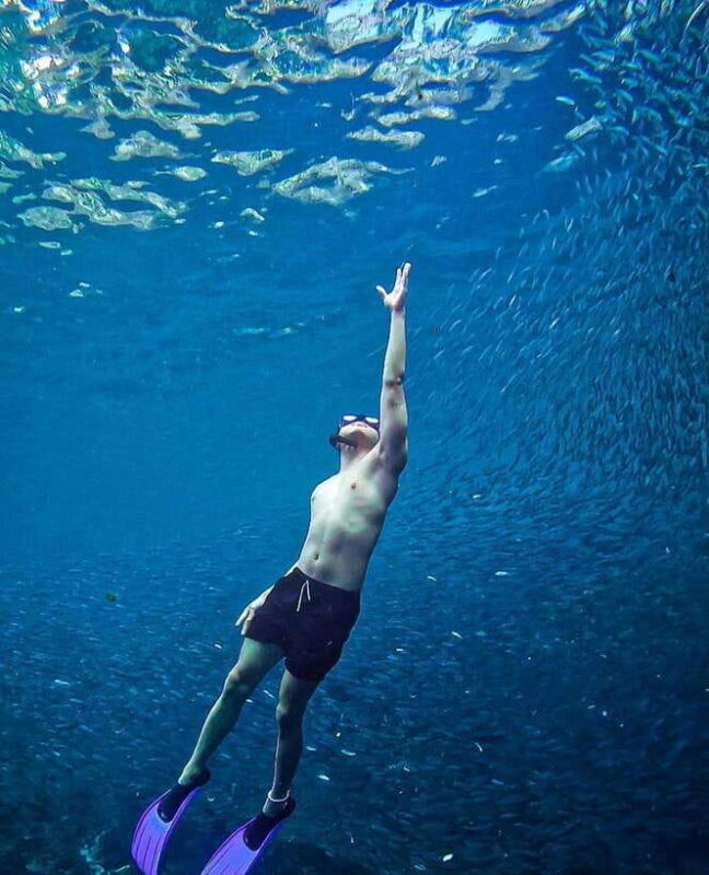 Bohol: Private Sardine Snorkel & Tropical Fish Tour - Practical Considerations