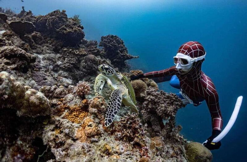 Bohol: Private Sardine Snorkel & Tropical Fish Tour - Who Will Love This Tour?