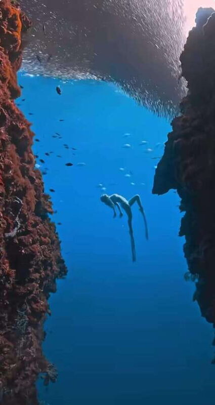 Bohol: Private Sardine Snorkel & Tropical Fish Tour - The Itinerary: What to Expect