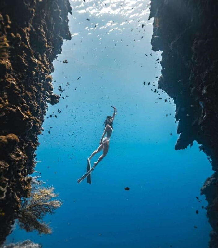 Bohol: Private Sardine Snorkel & Tropical Fish Tour - Who Is This Tour Best For?