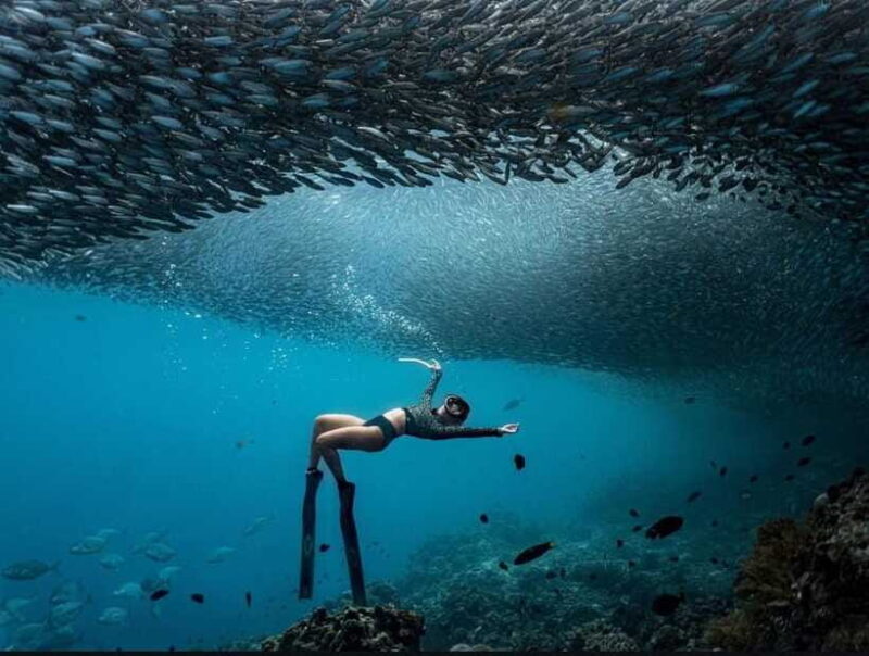 Bohol: Private Sardine Snorkel & Tropical Fish Tour - FAQ