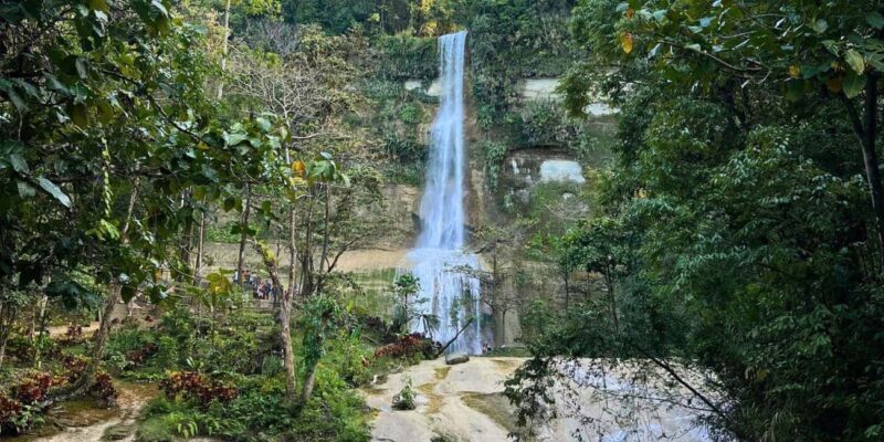 Bohol Private Tour Anda, Candijay & Alicia Panoramic Park - Bohol Private Tour Anda, Candijay & Alicia Panoramic Park