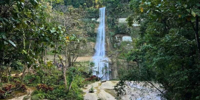 Bohol Private Tour Anda, Candijay & Alicia Panoramic Park - FAQ