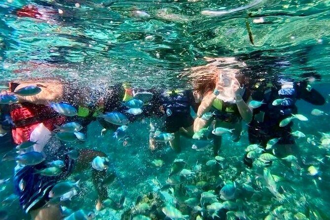 Bohol Province Balicasag Island Day Tour - What to Expect from the Bohol Balicasag Island Tour