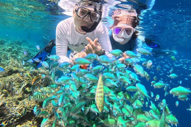 Bohol Province Balicasag Island Day Tour - FAQ