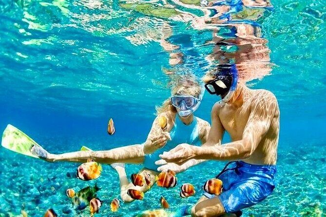 Bohol Province Balicasag Island Day Tour - Good To Know