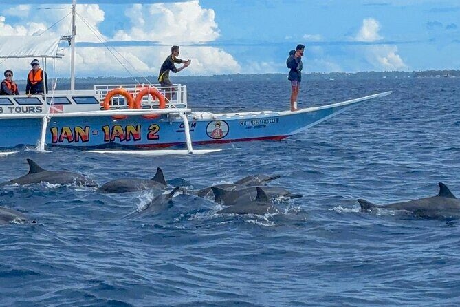 Bohol Province Balicasag Island Day Tour - What to Expect on the Day