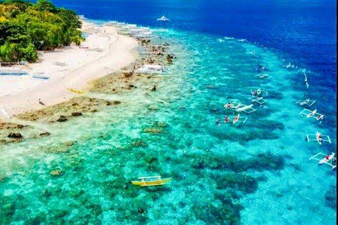 Bohol Province Balicasag Island Day Tour - The Sum Up