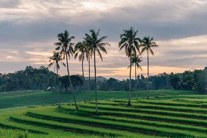 Bohol Scenic Nature Tour Anda Beach and Candijay - FAQs