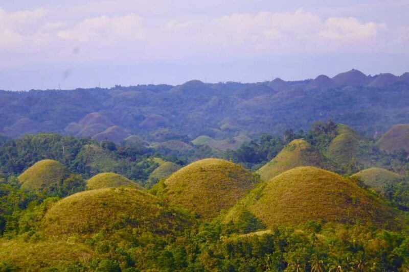 Bohol: Sunset Chocolatehills Tour with Buffet Cruise Lunch - Who Will Love This Tour?