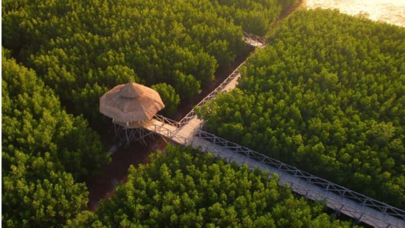 Bohol Sunset & Stories: A Bohol Evening Escape - Good To Know