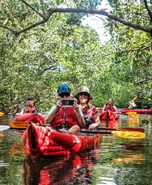 Bohol: SUSTAINABLE Mangrove Tunnels & Firefly Kayaking trail - Good To Know