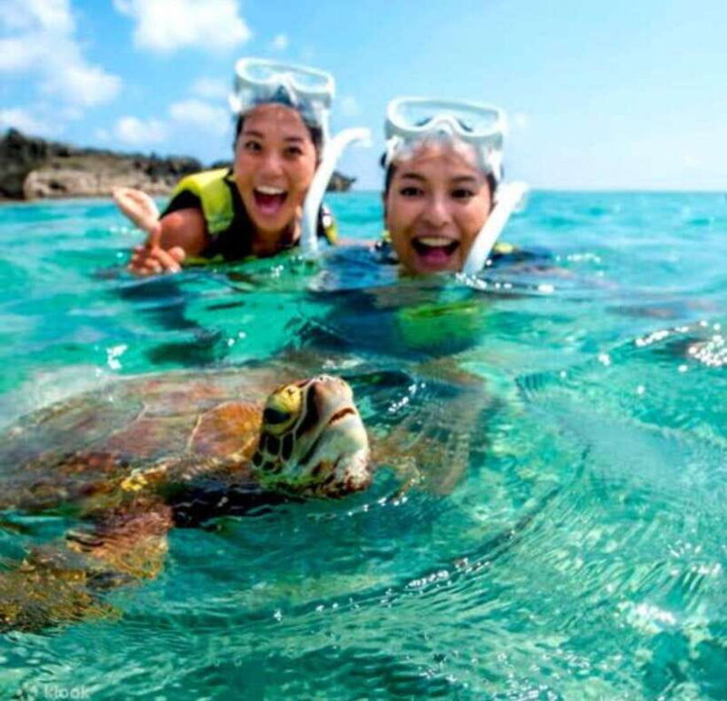 Bohol: Swim with Sea Turtles & Dolphins Island Hopping Tour - Who Is This Tour For?