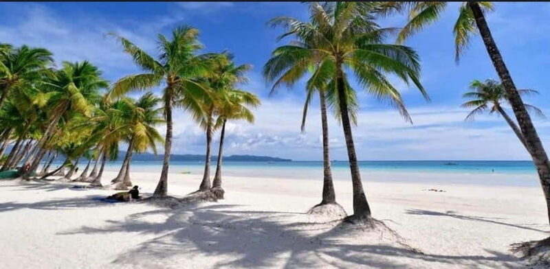 Bohol: Swim with Sea Turtles & Dolphins Island Hopping Tour - FAQs