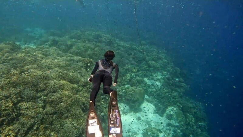 Bohol: Turtle Sanctuary Snorkeling Boat Tour with Lunch - Practical Tips for a Memorable Day