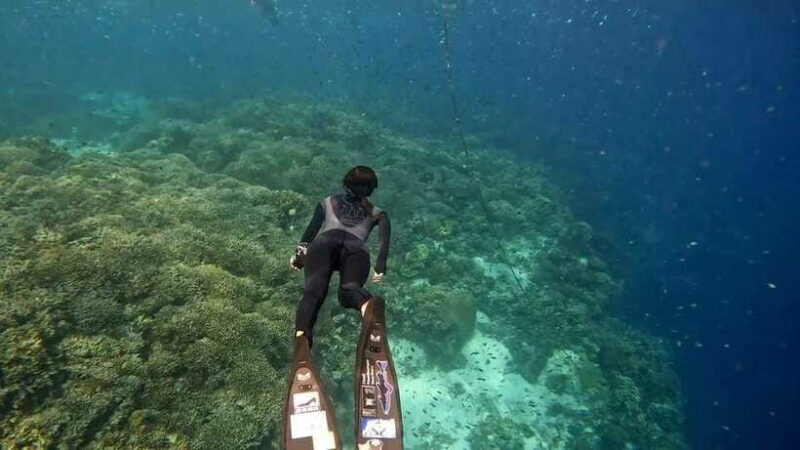 Bohol: Turtle Sanctuary Snorkeling Boat Tour with Lunch - Final thoughts