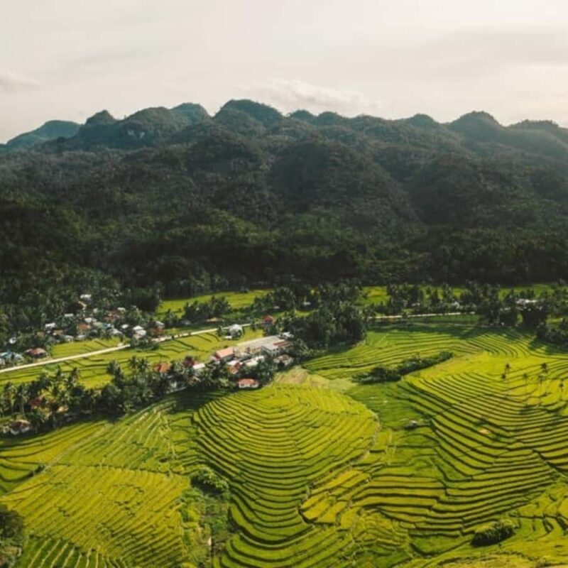 Bohol Waterfalls Adventure - An In-Depth Look at the Bohol Waterfalls Adventure