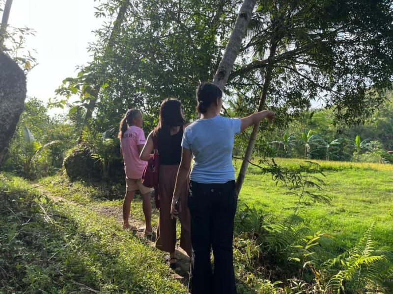 Bohol: Waterfalls, Kayak, Hills Hike, & Tarsier Eco Tour - Exploring Bohol’s Natural Wonders in Depth