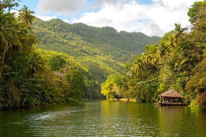 Bohol Whaleshark Watching with Loboc River Lunch - Good To Know