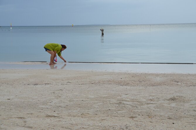 Bohols Panglao Island Half Day Land & Half Day Island Hopping (Cebu or Bohol) - Tour Itinerary