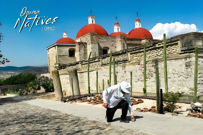 Boil the Water and Mitla Mezcal Tour - Who Is This Tour Best For?