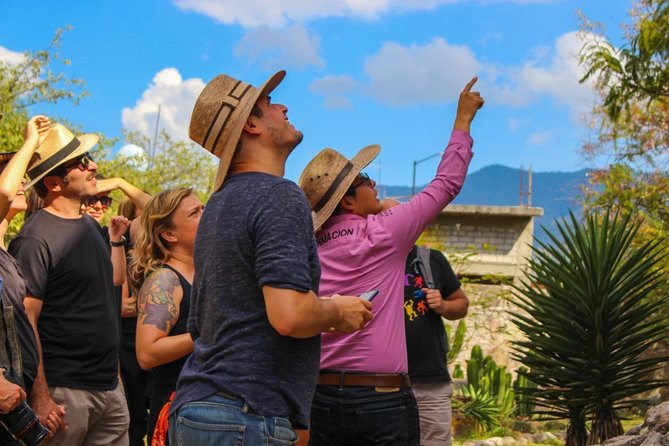Boil the Water, Mitla, Tule, Mezcal and More - The Sum Up