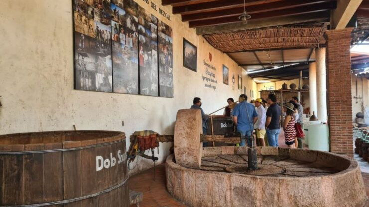 Boiling Water: Cultural and Gastronomic Tour - Tour Highlights