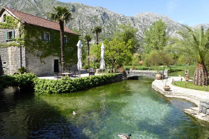 Boka Bay Tour by Car or Speedboat (Private Tour) - Cancellation Policy Details