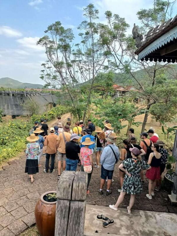 Bokor mountain, Pepper plantation and Man-made lake - The Beautiful Pepper Plantation: A Taste of Kampot’s Famous Spice