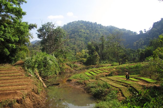 Bolaven Plateau Villages & Waterfalls Full-Day Private Tour  - Pakse - Directions