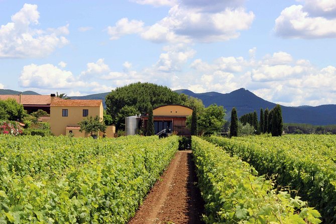 Bolgheri: "Classic" Winery Tour With Wine Tasting - Overview of the Tour