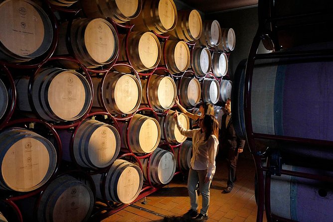 Bolgheri: "Classic" Winery Tour With Wine Tasting - Inclusions and Meeting Information