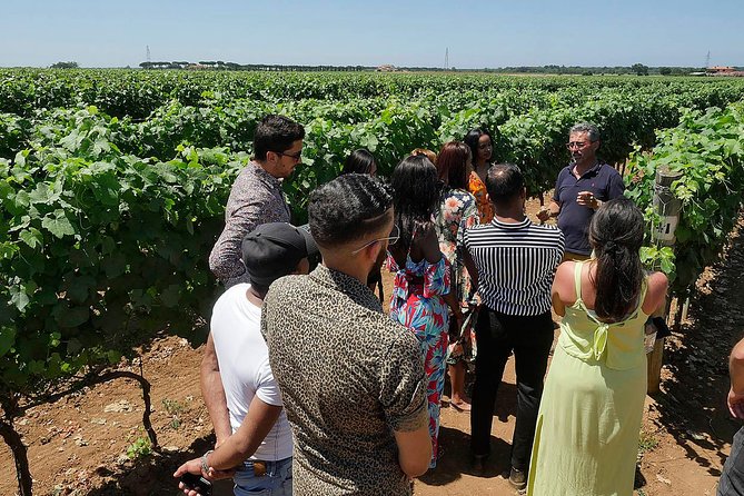 Bolgheri: "Classic" Winery Tour With Wine Tasting - Common Questions