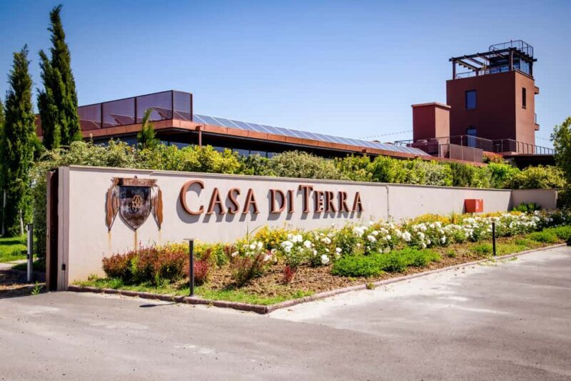 Bolgheri: guided visit of the winery and tasting of our wines - Good To Know