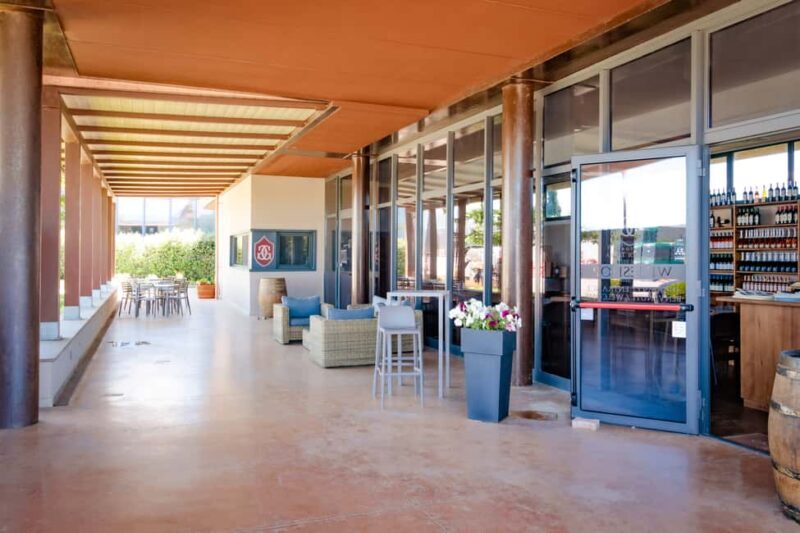 Bolgheri: guided visit of the winery and tasting of our wines - An In-Depth Look at the Experience