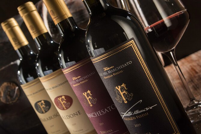 Bolgheri: Premium Wine Tasting With Winery Tour - Pricing and Reservation