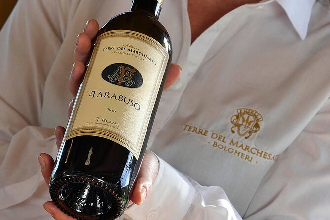 Bolgheri: Premium Wine Tasting With Winery Tour - Tour Overview
