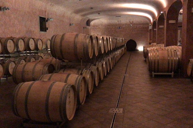 Bolgheri Small Group Tour, Lunch and Wine Tasting From Florence - Tour Highlights