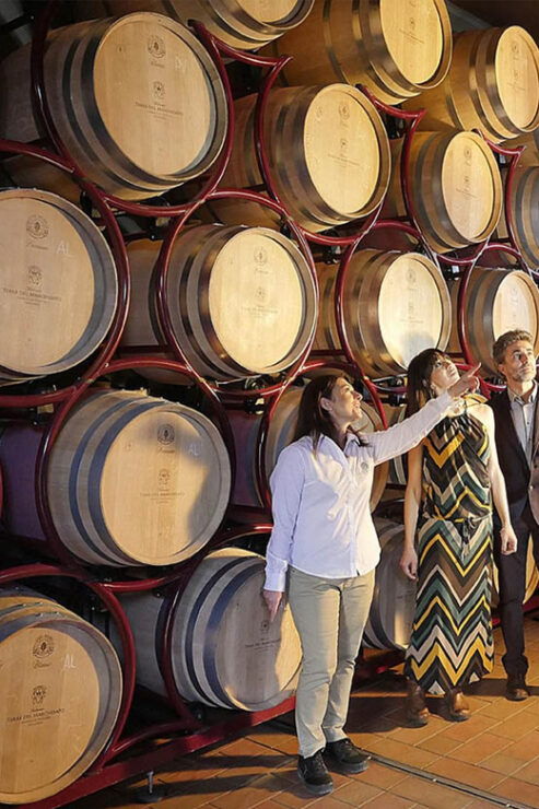 Bolgheri: Vertical Wine-Tasting at Terre Del Marchesato - Itinerary and Highlights