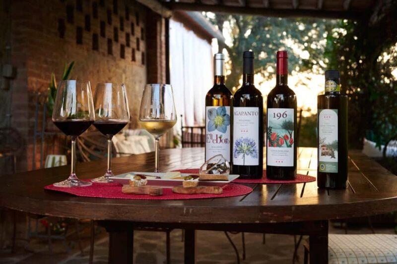 Bolgheri: Wine tasting at Podere Conca - An authentic taste of Bolgheri in just two hours