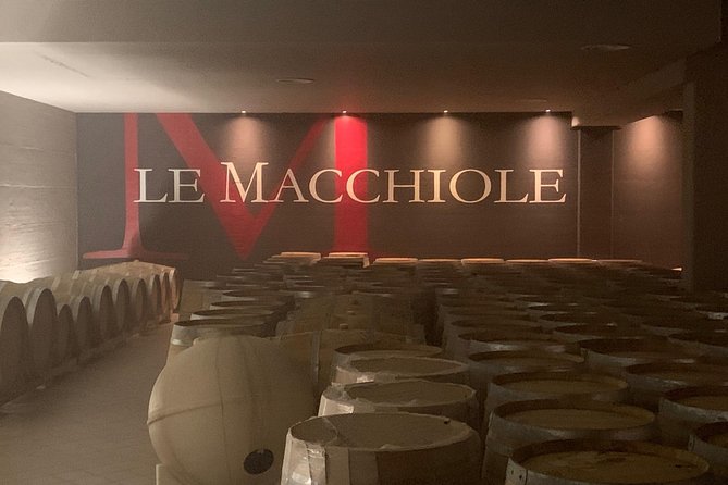 Bolgheri Wine Tour From Lucca - Tour Location and Duration