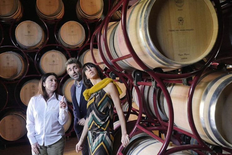 Bolgheri: Winery Tour With Wine Tasting - Experience Highlights
