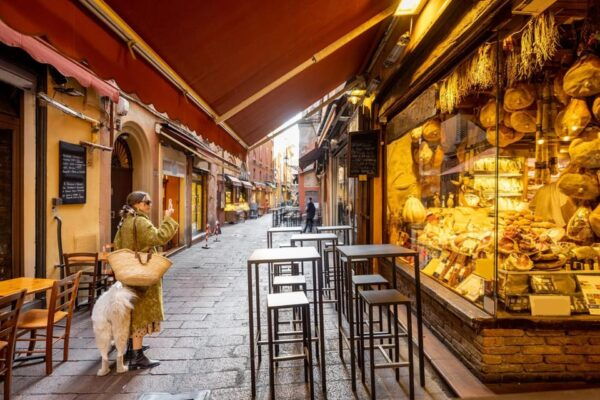 Bologna: Capture the Most Photogenic Spots With a Local - Essential Tips for Tour Participants