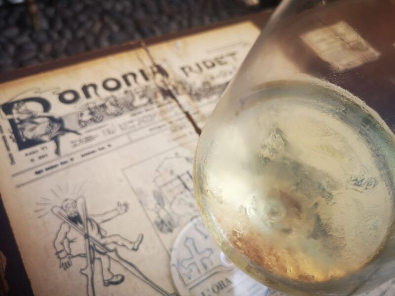Bologna: City Center Guided Wine Walking Tour - Experience and Highlights